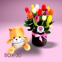 Box Of 14 Tulips and Stuffed Animal