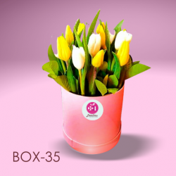 Box De 15 Tulipanes